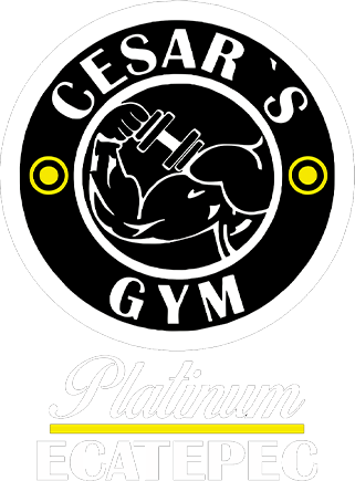 PLATINUM ECATEPEC