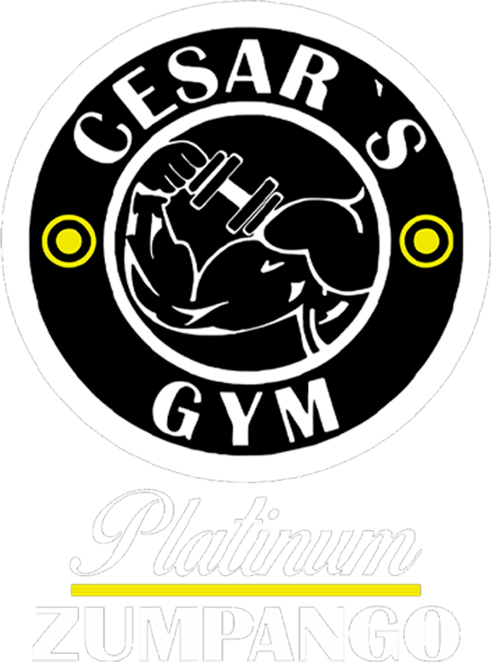 PLATINUM ZUMPANGO